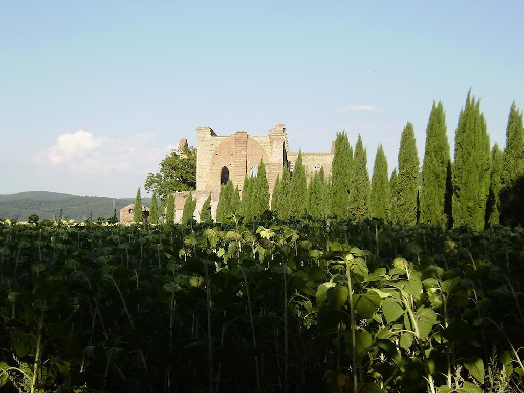 La Fattoria Montalcinello Guest House Chiusdino Exterior photo